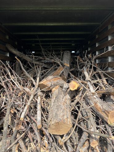 Спил деревьев, заготовка дров: Отун сатылат 
Машинасы доставкасын суйлошобуз