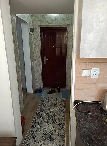 Кыймылсыз мүлк: 1 бөлмө, 25 м², 4 кабат, Евро оңдоо — 1