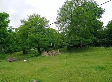 Torpaq sahələrinin satışı: 8 sot, Tikinti, Kupça (Çıxarış)