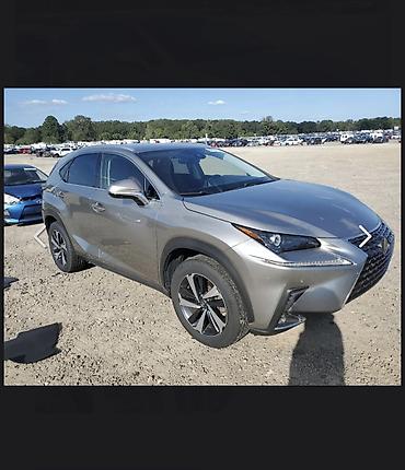 Toyota: Toyota RAV4: 2022 г., 2.5 л, Автомат, Бензин, Внедорожник — 20