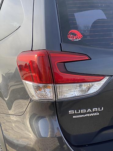 Subaru: Subaru Forester: 2019 г., 2.5 л, Вариатор, Электромобиль, Кроссовер — 28