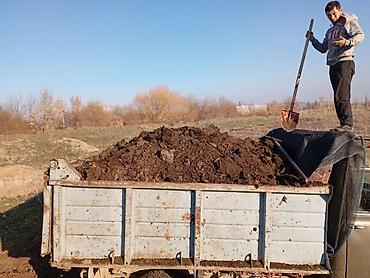 Грунт, чернозем: Чернозём плодородный для огорода, газона и ландшафта. Характеристики — 12
