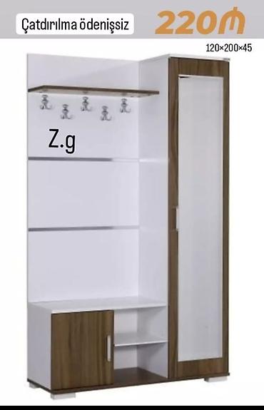 Qonaq/zal üçün giriş dolabı və asılqan dəsti - Ölçü: 120 × 200 × 45