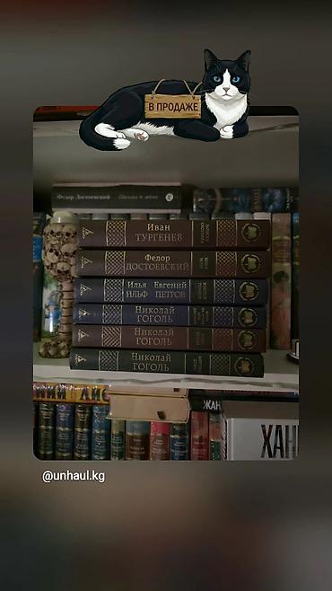 Сет из классических книг в твёрдых переплётах (серия с тиснением на