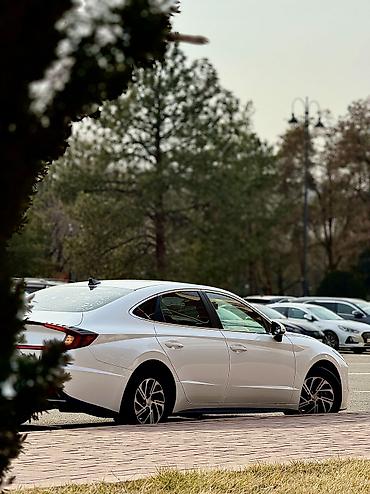 Hyundai: Hyundai Sonata: 2020 г., 2 л, Типтроник, Гибрид, Седан — 10