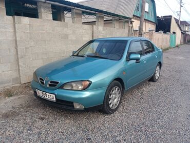 самая деловая машина: Nissan Primera: 2000 г., 1.8 л, Механика, Бензин, Седан