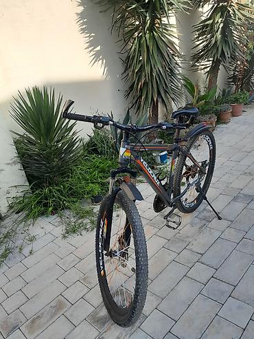 Velocruz dağ velosipedi - Çərçivə: yüngül alaşımlı, sloping