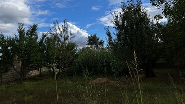 Torpaq sahələrinin satışı: 15 sot, Tikinti, Makler, Kupça (Çıxarış) — 13