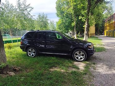 17 5: BMW X5: 2003 г., 3 л, Автомат, Дизель, Внедорожник — 10