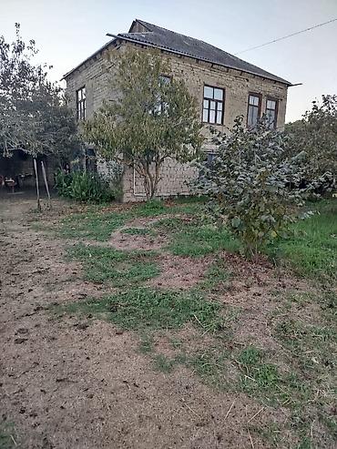 lacin kirayə ev: Satılır: kənd həyəti olan kərpic ev və fındıq bağı - İki mərtəbəli — 1