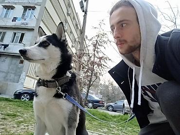 İtlər: 🐾 DOGGIES_X WALKING • BAKU Последние 5 лет собаки — часть моей жизни — 7