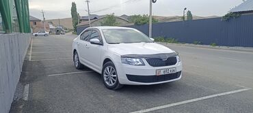 новые шины на спринтер: Белый седан Skoda Octavia. Этот автомобиль предлагает просторный салон