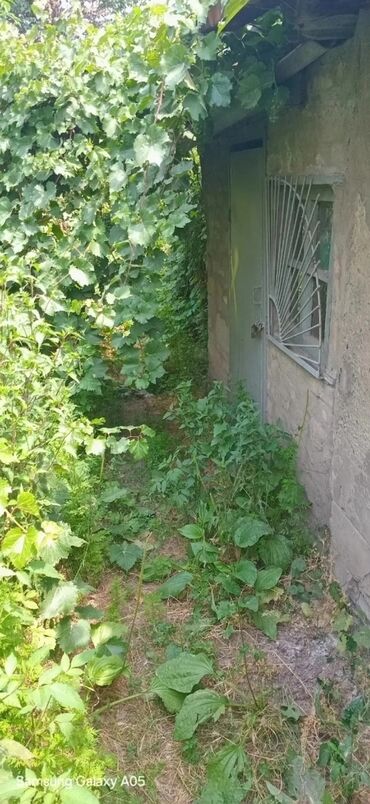 Продажа домов: Барачный, 44 м², 3 комнаты, Собственник, Косметический ремонт — 10