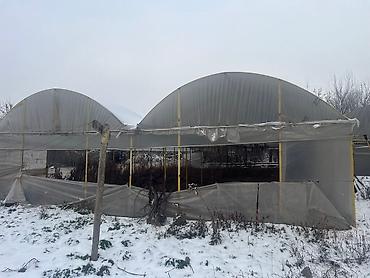 плёнка для теплицы: Продаю теплицу(каркас), без земли, самовывоз - само вынос. 360м/кв — 2