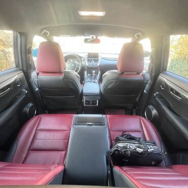 Lexus: Lexus NX: 2017 г., Кроссовер — 21