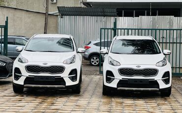 Kia: Kia Sportage: 2020 г., 2 л, Автомат, Дизель, Кроссовер