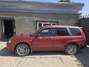 низкопрофильная: Subaru Forester: 2003 г., Автомат, Бензин, Кроссовер — 1