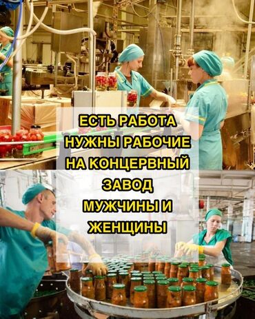 работа сантехник: Вакансии на консервном заводе Требуются рабочие на консервный завод