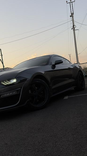 машина 200: Ford Mustang: 2020 г., 2.3 л, Автомат, Купе — 6