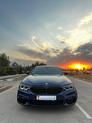 ручка бмв: BMW 5 series: 2019 г., 2 л, Автомат, Дизель, Седан — 9
