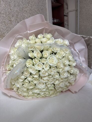 клубника саженцы цена: Белые Розы 101 шт 
Цена: 3500 сом 
Свежие