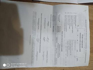Молочные продукты и яйца: Домашнее Козье молоко. Экологически чистый продукт. Находимся в — 8