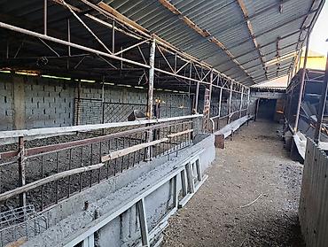 фермер: Farm КРС, 10 соток, Действующий, Частично с оборудованием, Электричество — 7