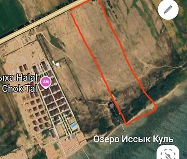 первое: 480 соток, Для строительства, Красная книга — 1