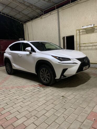 Lexus: Lexus NX: 2020 г., 2 л, Автомат, Бензин, Кроссовер