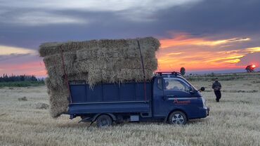 бостери бишкек такси: Курулуш таштандыларын чыгаруу, Шаар ичинде, жүк ташуучу жумушчусу менен