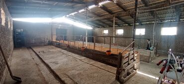 Продажа домов: Дом, 1000 м², 2 комнаты, Собственник, Старый ремонт — 5