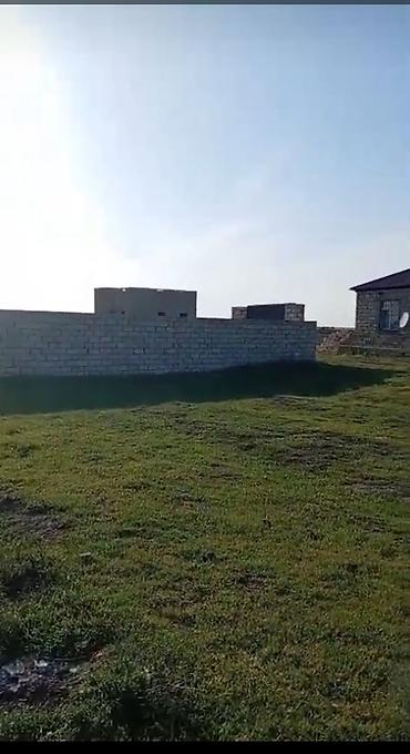 visnovka: Tikinti, Kupça (Çıxarış) — 4