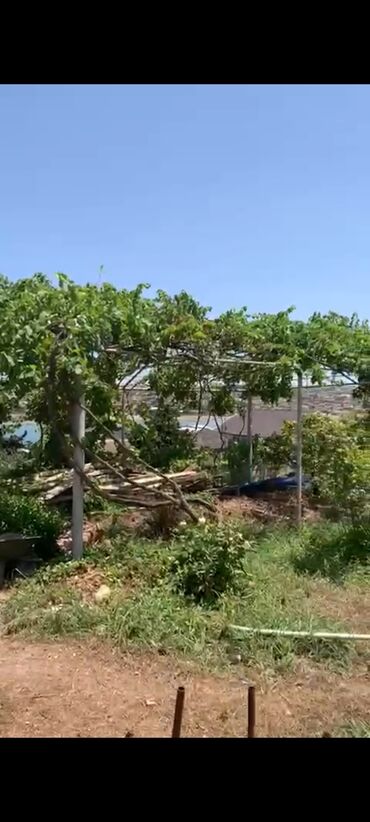 bakixanov qəsəbəsi: 4 sot, Kupça (Çıxarış)