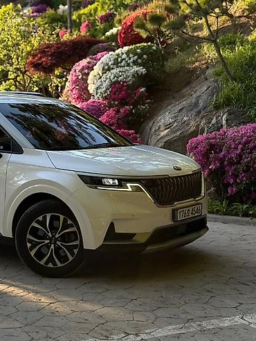 лупа фары: Kia Carnival: 2021 г., 2.2 л, Дизель, Минивэн — 4