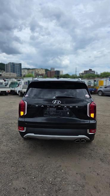 palisade: Hyundai Palisade: 2019 г., Кроссовер — 8