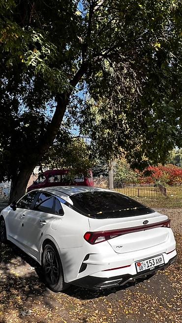 jetta 2: Kia K5: 2021 г., 2 л, Автомат, Бензин, Седан — 4