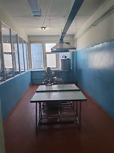 Продажа другой коммерческой недвижимости: Коммерческая недвижимость для вашего бизнеса в Военно-Антоновке! — 9