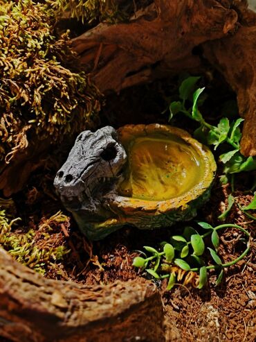 Зоотовары: 🌿 Украшения и декорации для аквариумов и террариумов 🌿 Продаю — 28