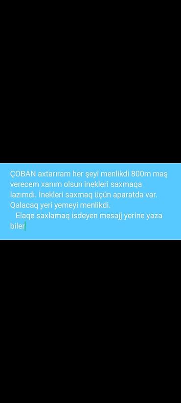 coban axtarilir: Çoban, 25 yaş, 1-2 illik təcrübə — 1