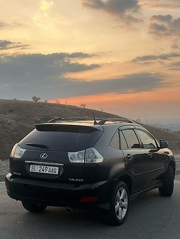 шторки на магнитах в авто: Lexus RX: 2004 г., 3.3 л, Автомат, Газ, Кроссовер — 2