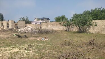 lehis baglari torpaq qiymeti: 3 sot, Tikinti, Mülkiyyətçi, Kupça (Çıxarış)