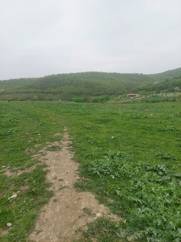 Torpaq sahələrinin satışı: 31 sot, Kənd təsərrüfatı, Kupça (Çıxarış) -da lalafo.az — 3 Torpaq sahələrinin satışı: 31 sot, Kənd təsərrüfatı, Kupça (Çıxarış) — 3