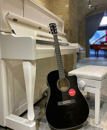Gitaralar: Akustik gitaralar — 1