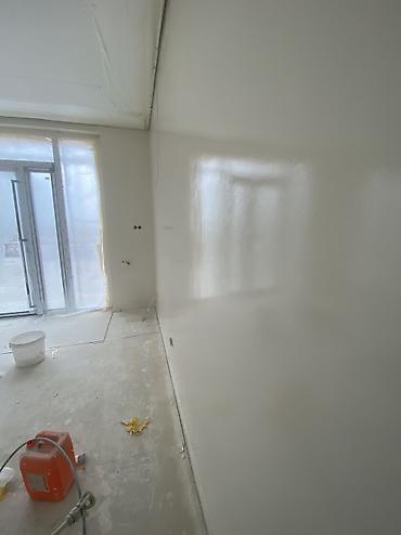 Покраска: Покраска стен, Покраска потолков, Покраска окон, На масляной основе, На водной основе, Больше 6 лет опыта — 2