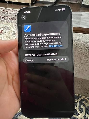 Apple iPhone: IPhone 13 Pro Max, Б/у, 256 ГБ, Sierra Blue, Защитное стекло, 86 % — 9