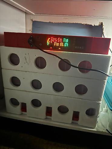 Avtoelektronika: 2 ayın aparatıdı 3 mərtəbədi tutum 196 dənəli hec bir pırablemi yoxdu — 5
