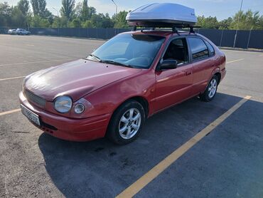 corolla runx: Toyota Corolla: 1999 г., 1.6 л, Механика, Бензин, Хетчбек
