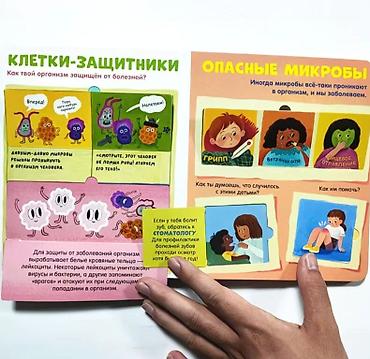 мозг: Книга с окошками «Тело человека» (издательство Clever) - Формат — 8