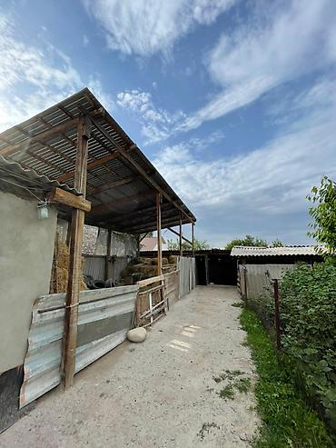 Продажа коттеджей и домов: 🏡 Продается дом в селе Таш-Добо 📍 Улица: Киргизия Характеристики: 📐 — 17