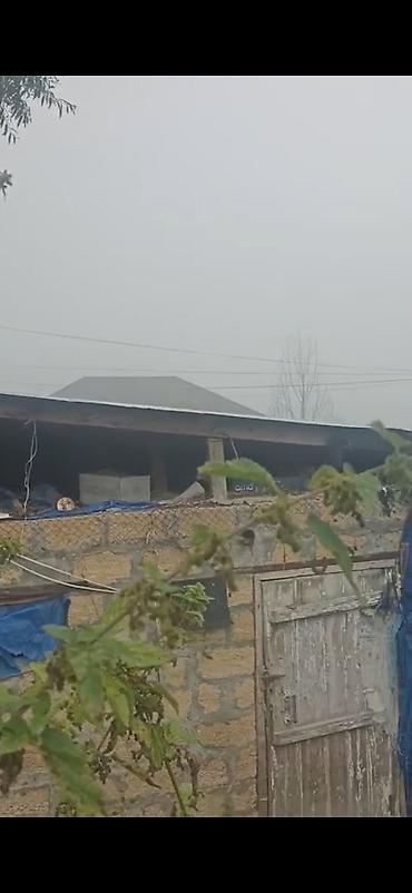 quba bina evleri: 2 otaqlı, 2 kv. m, Kredit yoxdur, Orta təmir — 3